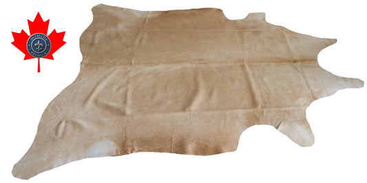 200063 - Cowhide Rug Tapis Peau de Vache SUPER BIG SIZE XXXL - Collection Quebecuir Premium