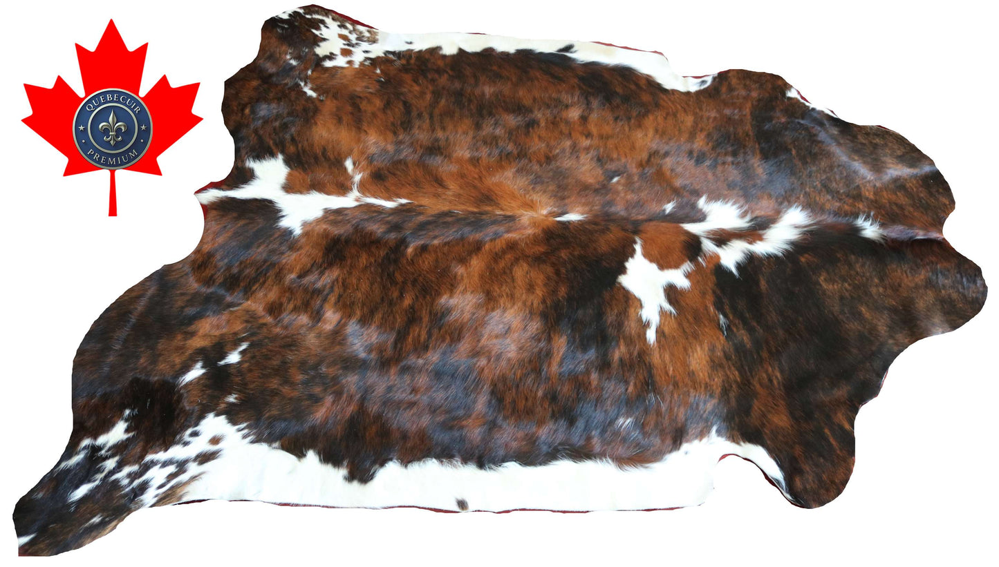 200648 -TRICOLOR  Cowhide Rug - Quebecuir Premium Collection
