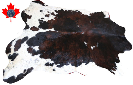 200649 -TRICOLOR  Cowhide Rug - Quebecuir Premium Collection
