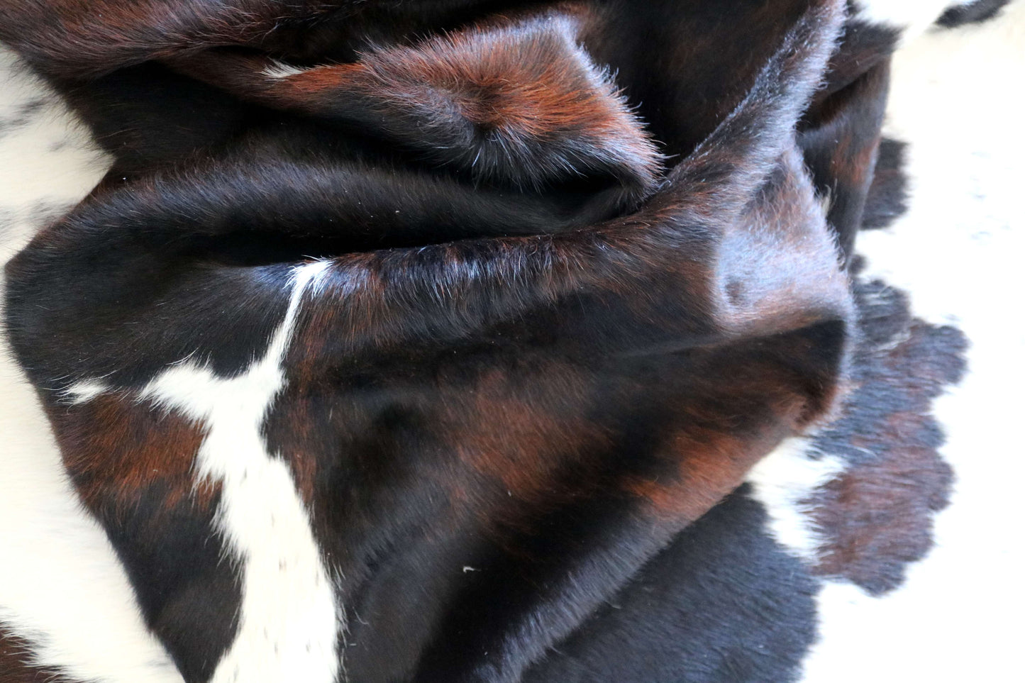 200649 -TRICOLOR  Cowhide Rug - Quebecuir Premium Collection