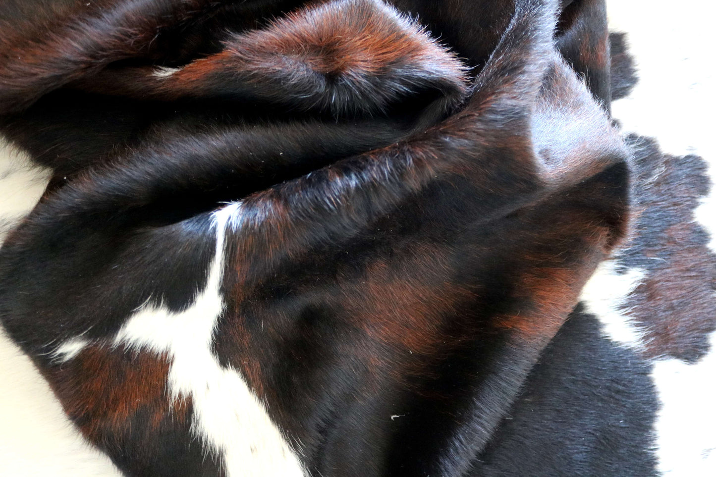200649 -TRICOLOR  Cowhide Rug - Quebecuir Premium Collection