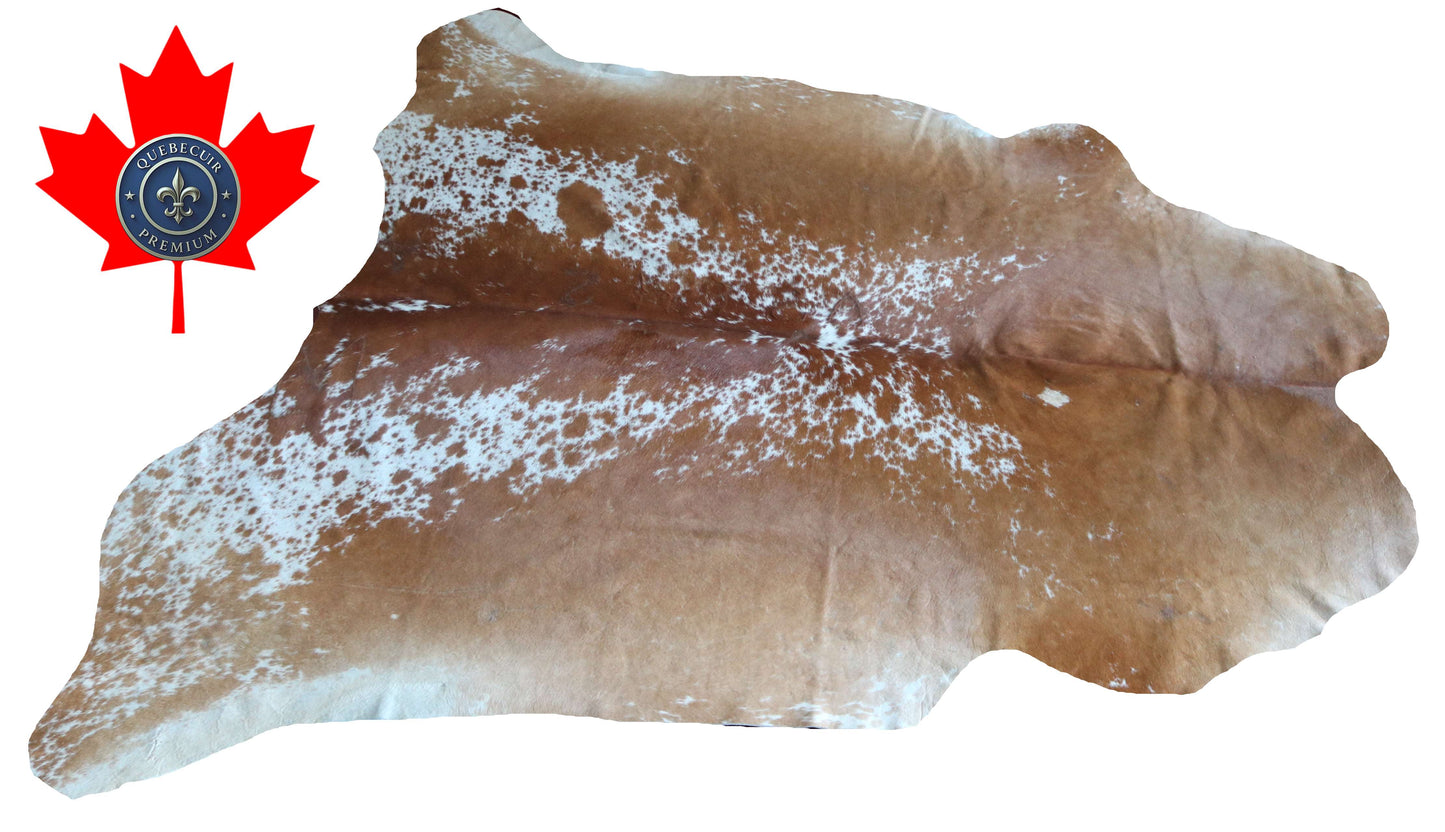 200650 -TRICOLOR  Cowhide Rug - Quebecuir Premium Collection