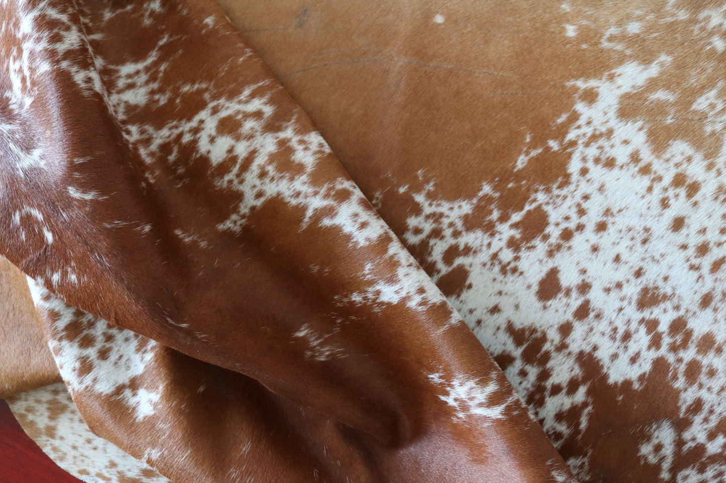 200650 -TRICOLOR  Cowhide Rug - Quebecuir Premium Collection