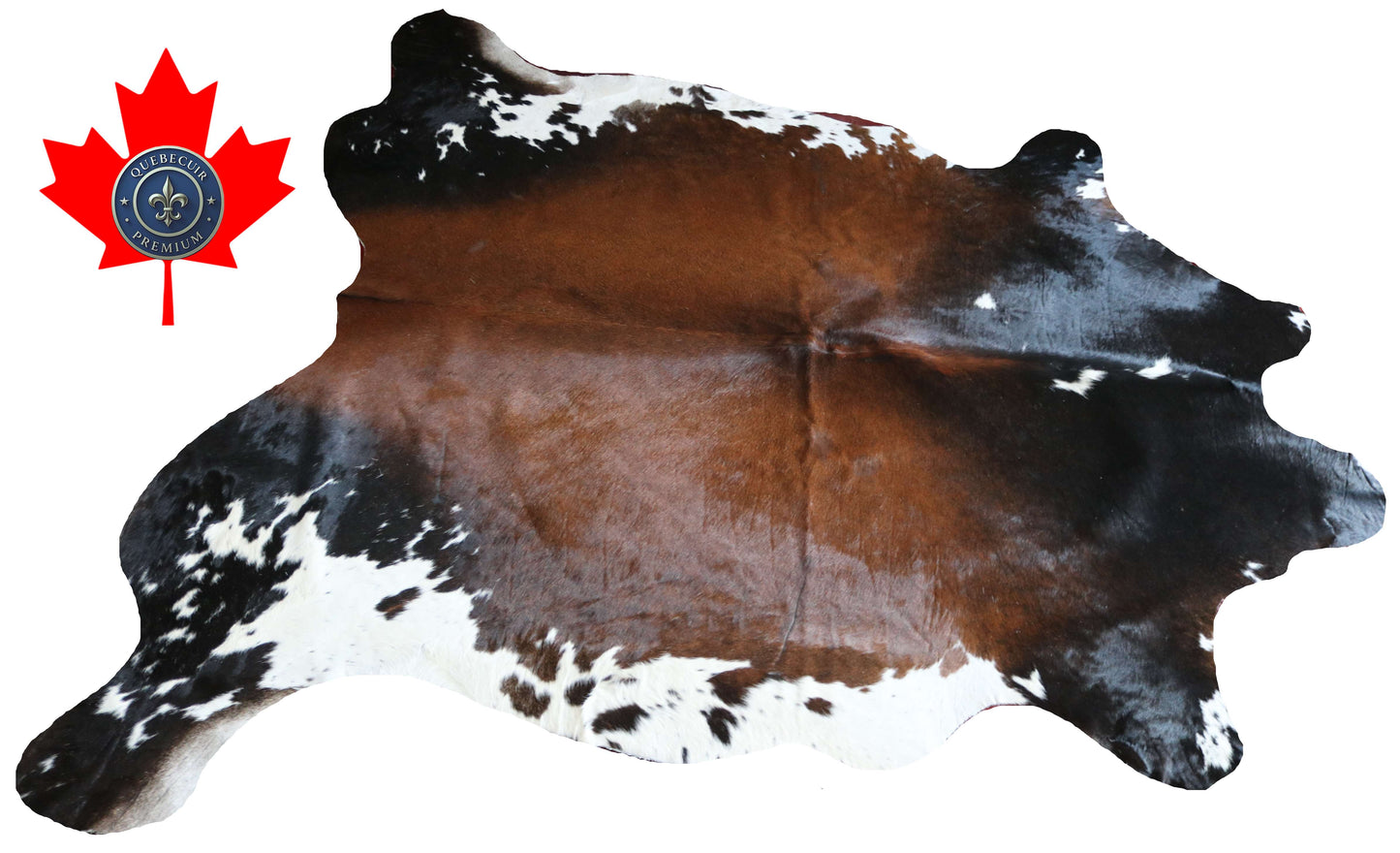 200651 -TRICOLOR  Cowhide Rug - Quebecuir Premium Collection