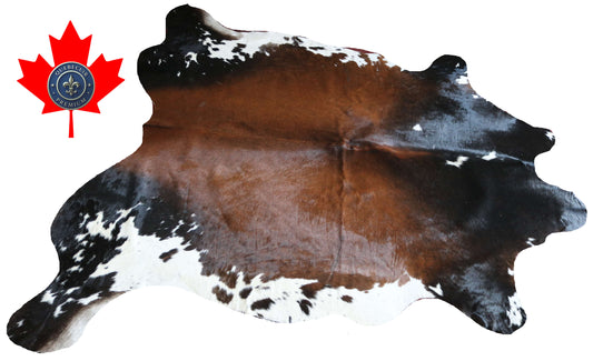 200651 -TRICOLOR  Cowhide Rug - Quebecuir Premium Collection