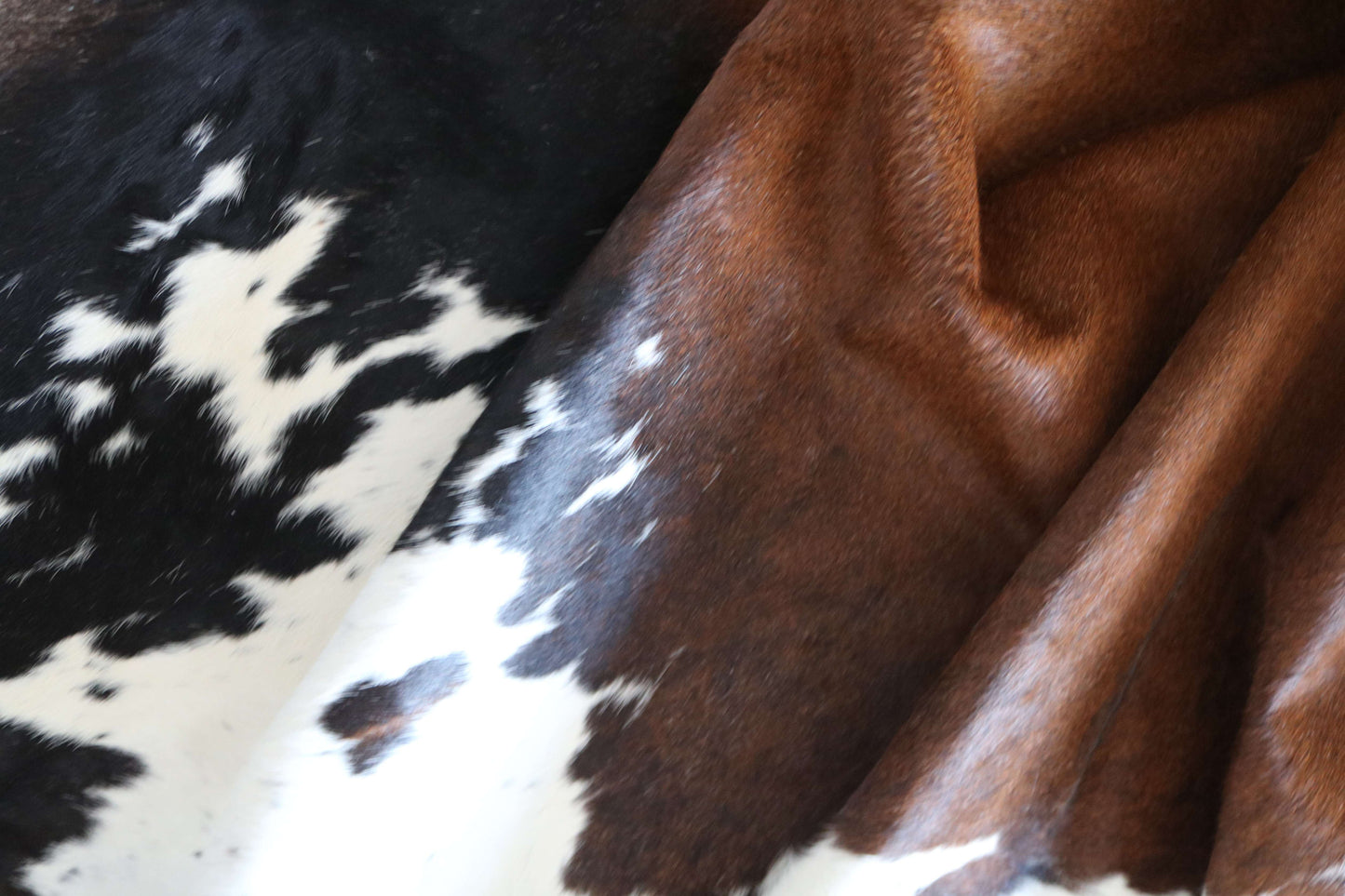 200651 -TRICOLOR  Cowhide Rug - Quebecuir Premium Collection