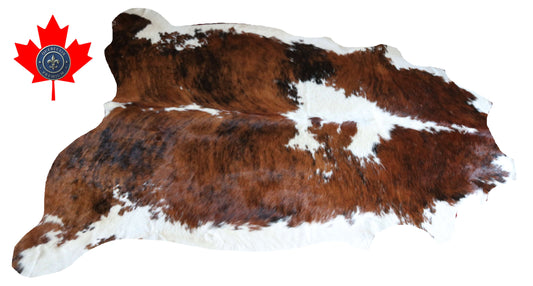 200652 -TRICOLOR  Cowhide Rug - Quebecuir Premium Collection