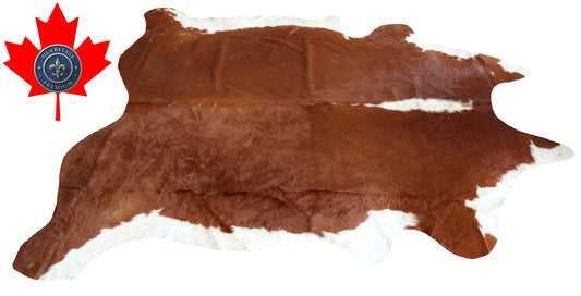 200072 - Cowhide Rug Tapis Peau de Vache SUPER BIG SIZE XXXL - Collection Quebecuir Premium