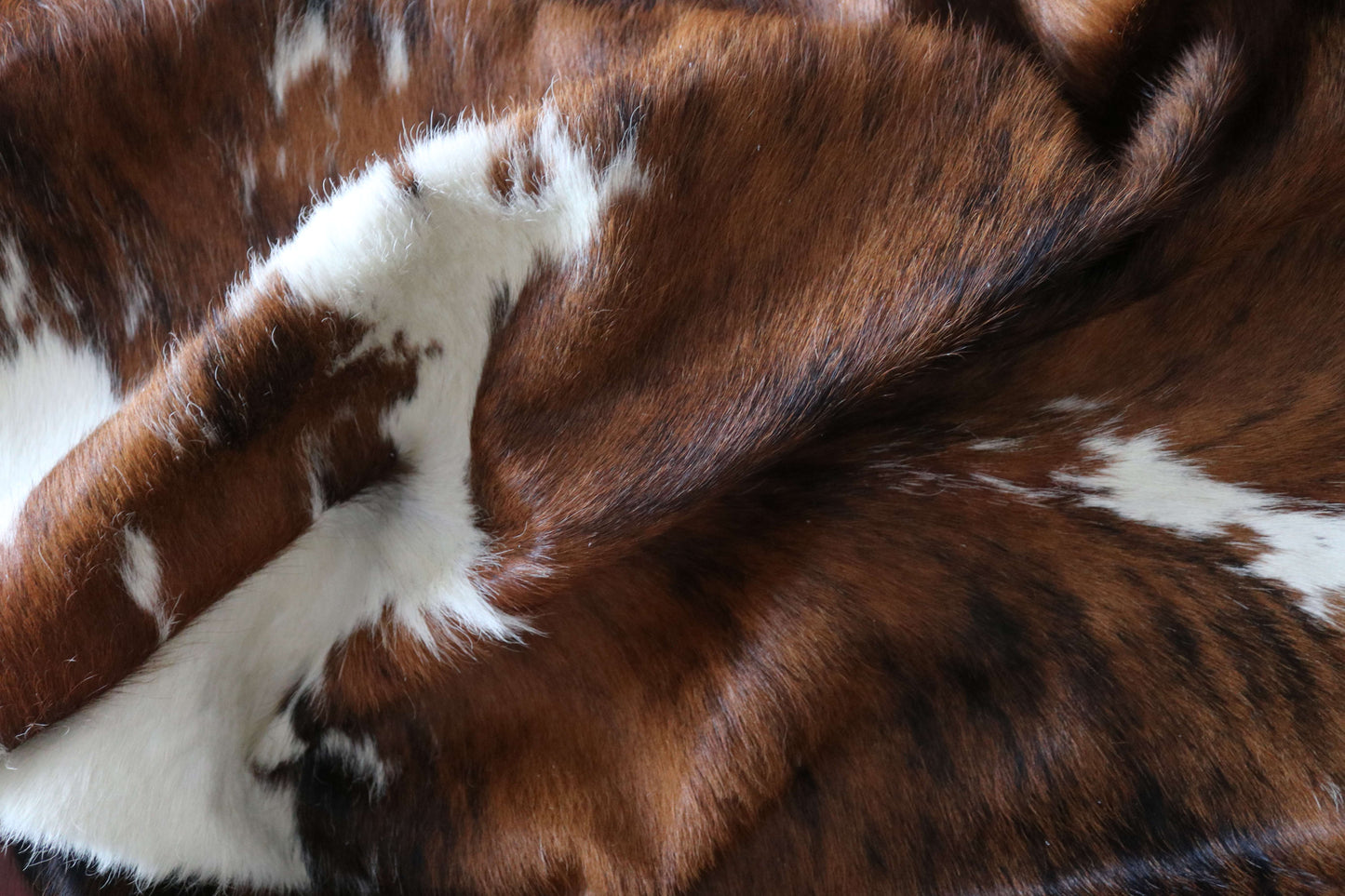 200652 -TRICOLOR  Cowhide Rug - Quebecuir Premium Collection