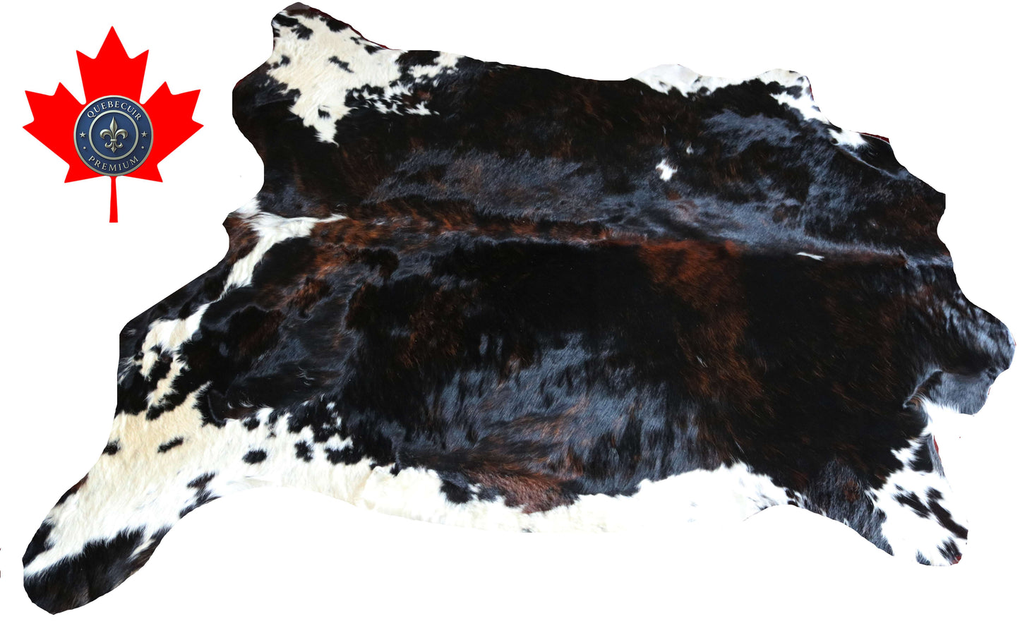 200653 -TRICOLOR  Cowhide Rug - Quebecuir Premium Collection