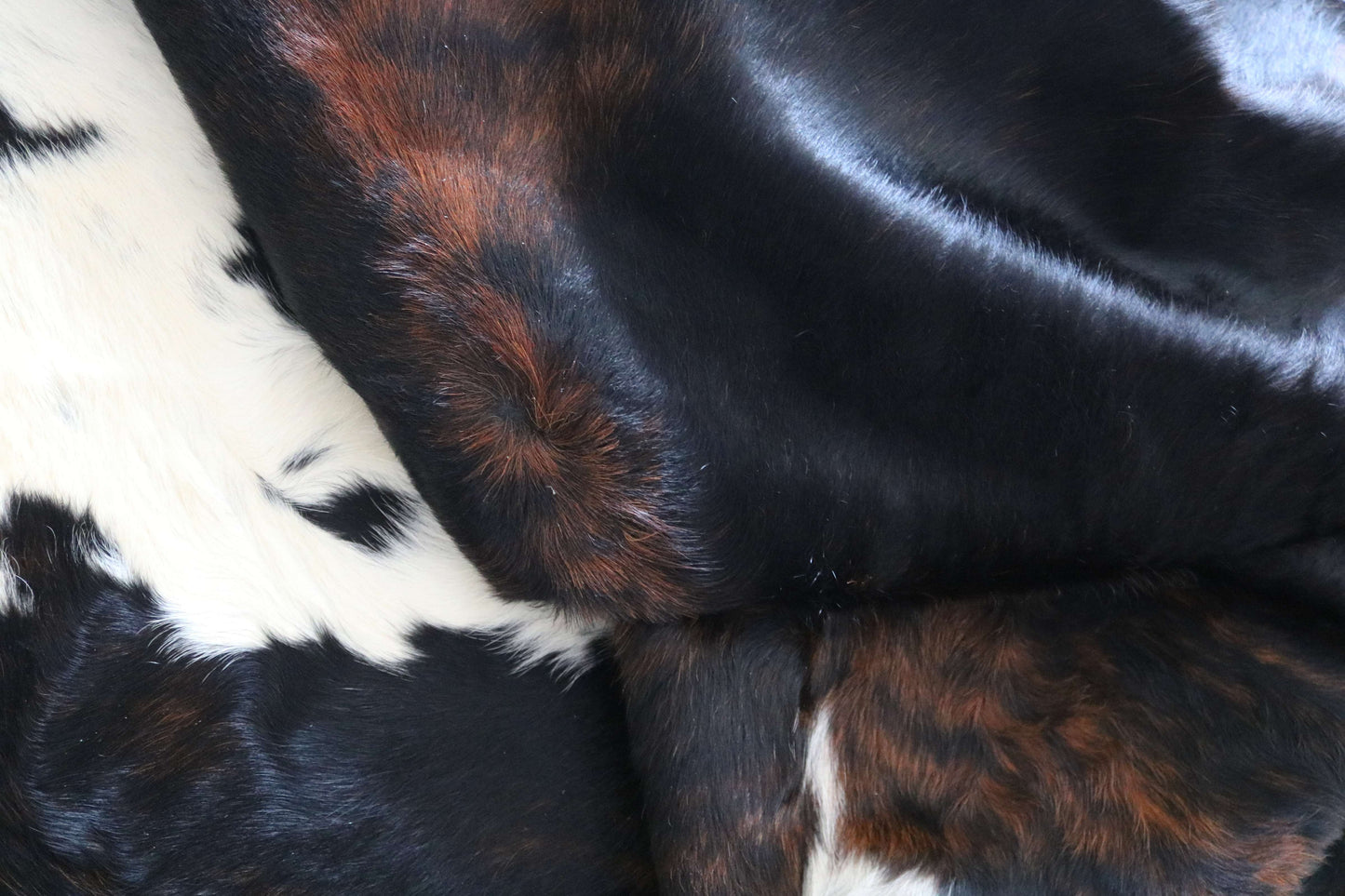 200653 -TRICOLOR  Cowhide Rug - Quebecuir Premium Collection