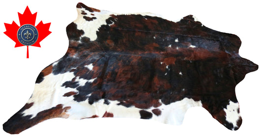 200075 - Cowhide Rug Tapis Peau de Vache SUPER BIG SIZE XXXL - Collection Quebecuir Premium