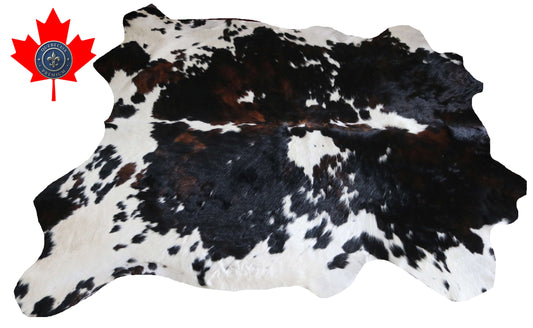 200654 -TRICOLOR  Cowhide Rug - Quebecuir Premium Collection