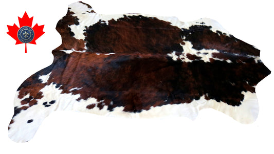200076 - Cowhide Rug Tapis Peau de Vache SUPER BIG SIZE XXXL - Collection Quebecuir Premium