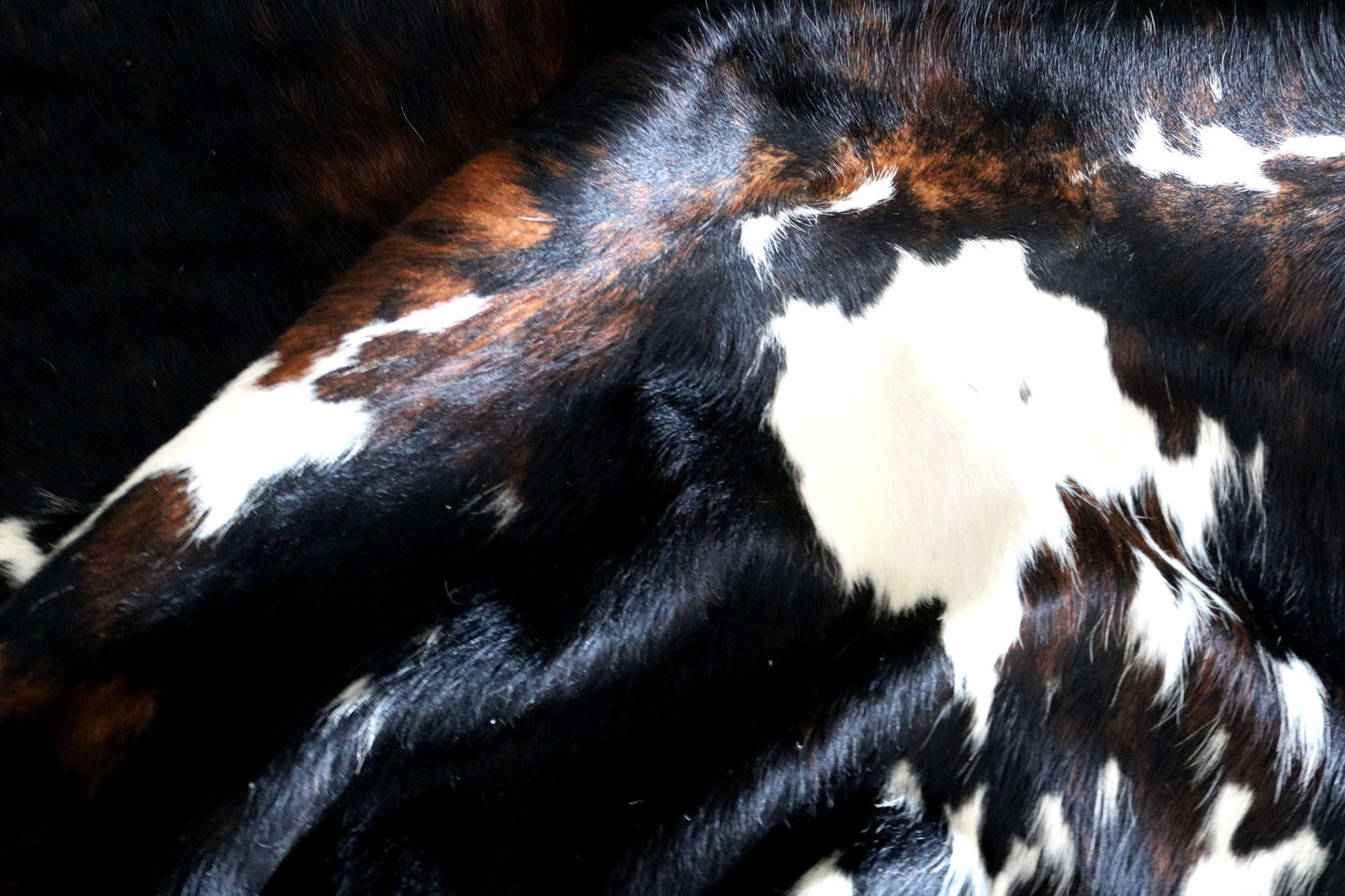 200654 -TRICOLOR  Cowhide Rug - Quebecuir Premium Collection