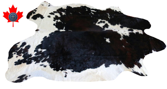 200078 - Cowhide Rug Tapis Peau de Vache SUPER BIG SIZE XXXL - Collection Quebecuir Premium
