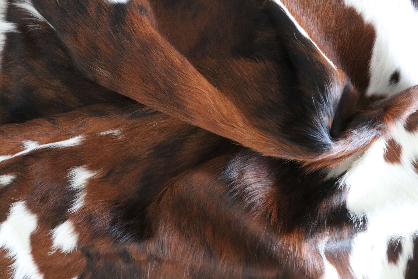 200655 -TRICOLOR  Cowhide Rug - Quebecuir Premium Collection