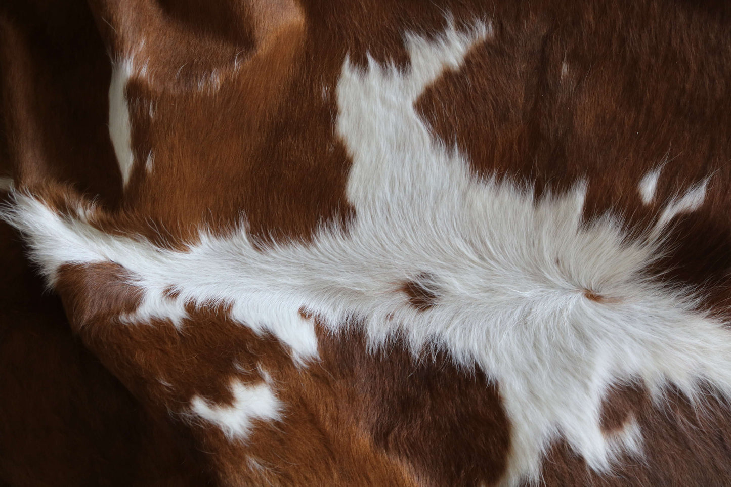 200656 -BROWN & WHITE Cowhide Rug - Quebecuir Premium Collection
