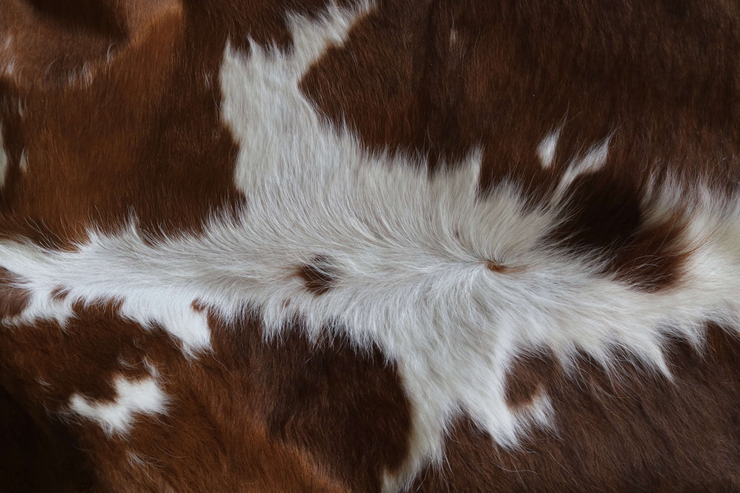 200656 -BROWN & WHITE Cowhide Rug - Quebecuir Premium Collection