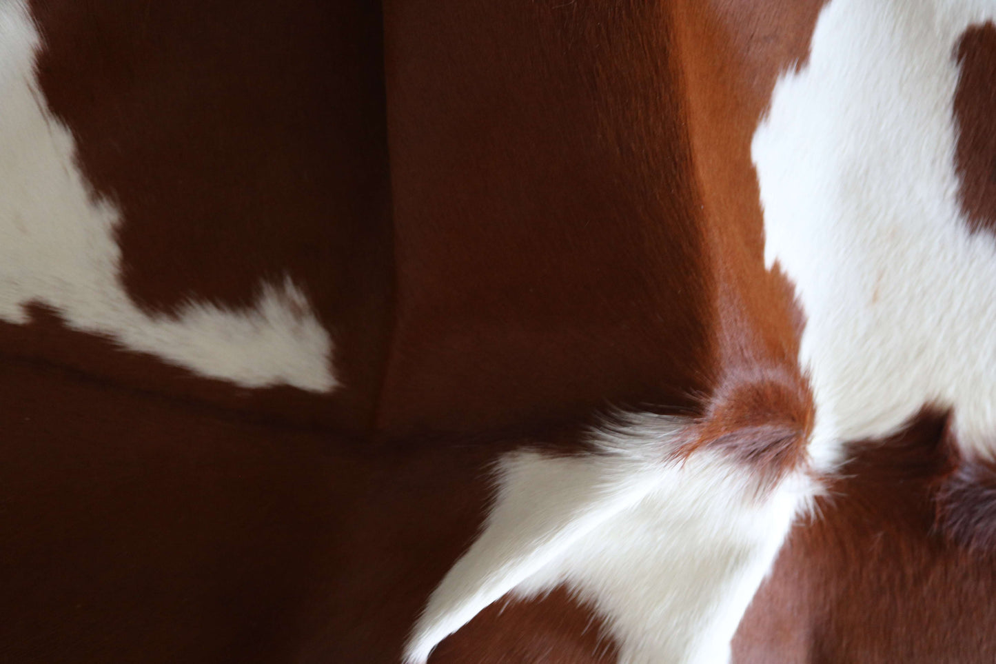 200657 -BROWN & WHITE Cowhide Rug - Quebecuir Premium Collection