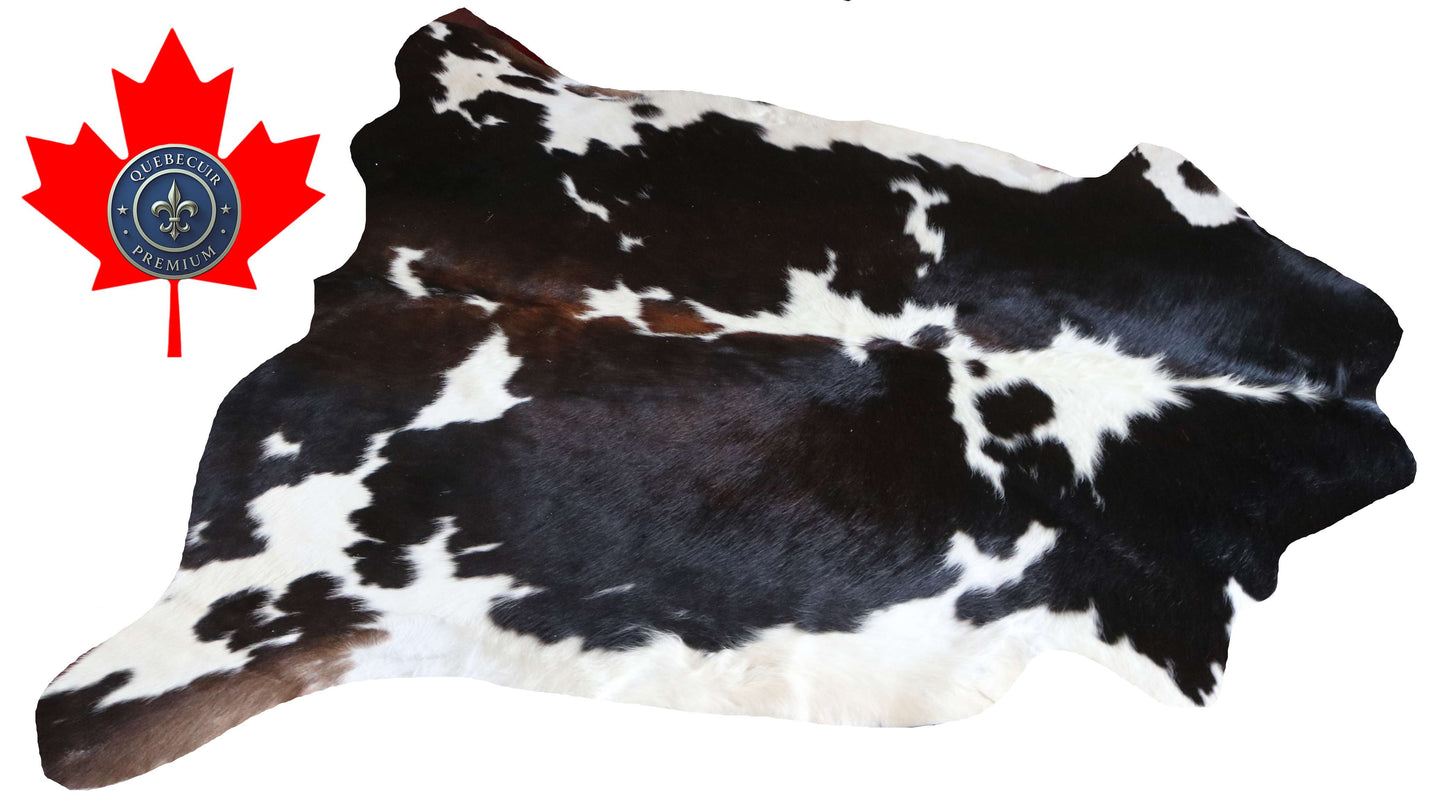 200658 -TRICOLOR  Cowhide Rug - Quebecuir Premium Collection