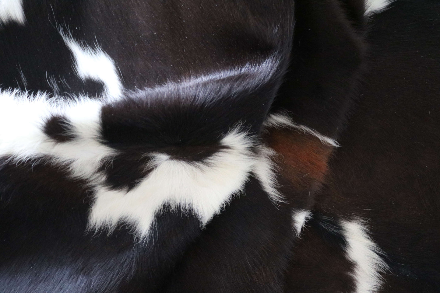 200658 -TRICOLOR  Cowhide Rug - Quebecuir Premium Collection
