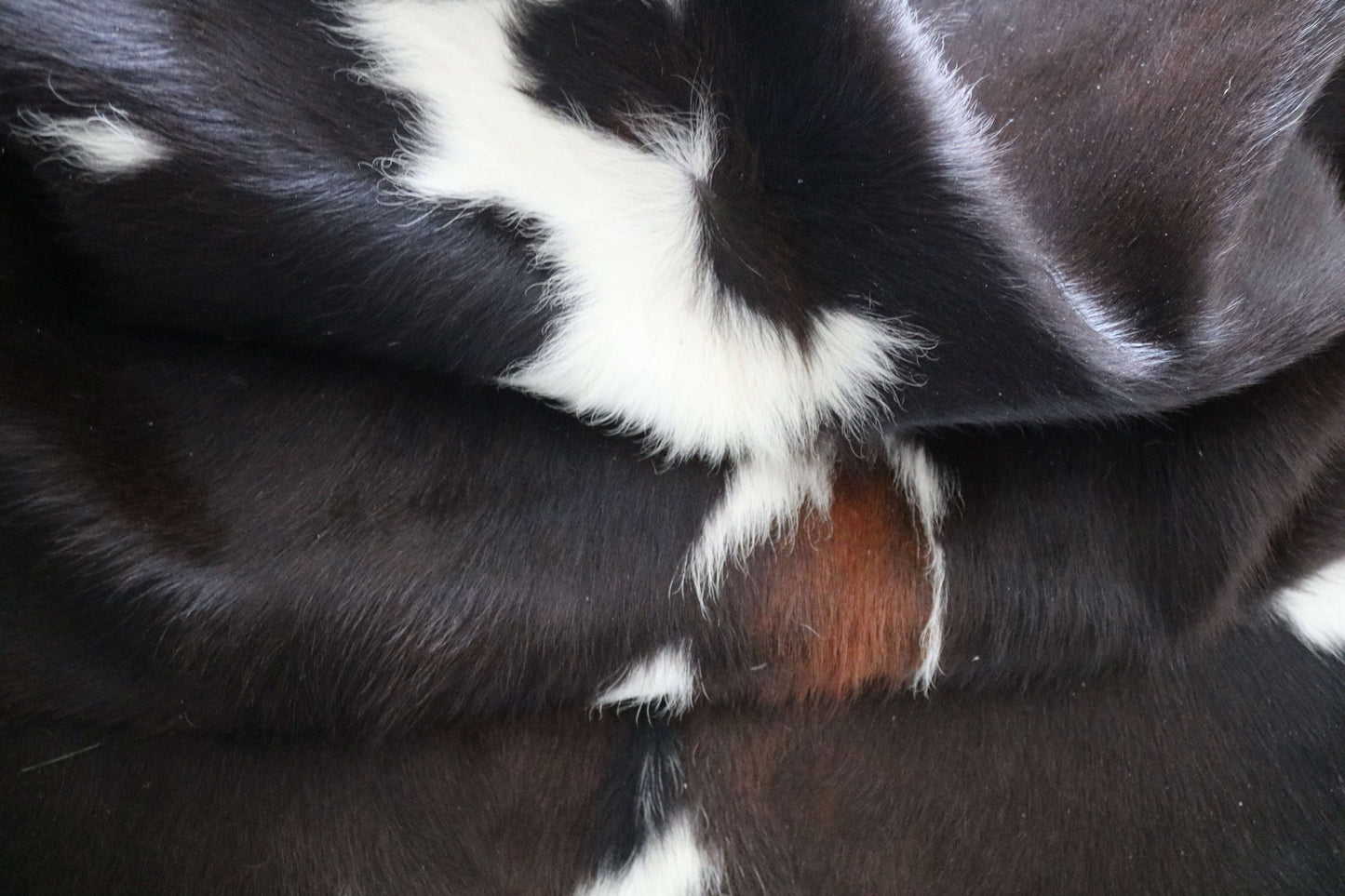 200658 -TRICOLOR  Cowhide Rug - Quebecuir Premium Collection