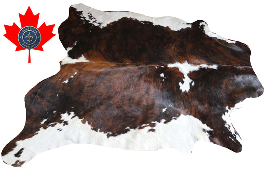 200659 -TRICOLOR  Cowhide Rug - Quebecuir Premium Collection