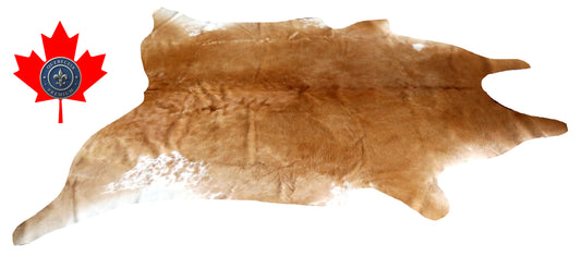 200083 - Cowhide Rug Tapis Peau de Vache SUPER BIG SIZE XXXL - Collection Quebecuir Premium