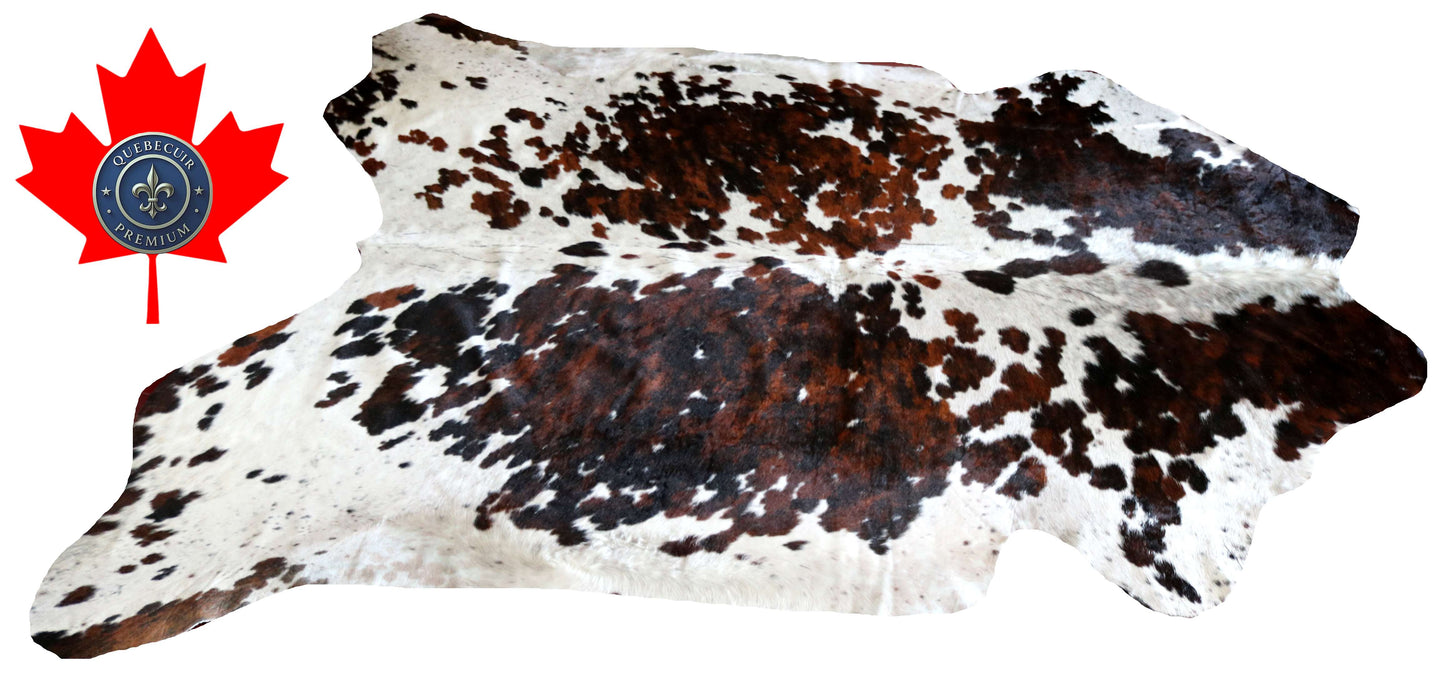100284 - SUPER BIG  SIZE XXXL TRICOLOR  Cowhide Rug - Quebecuir Premium Collection