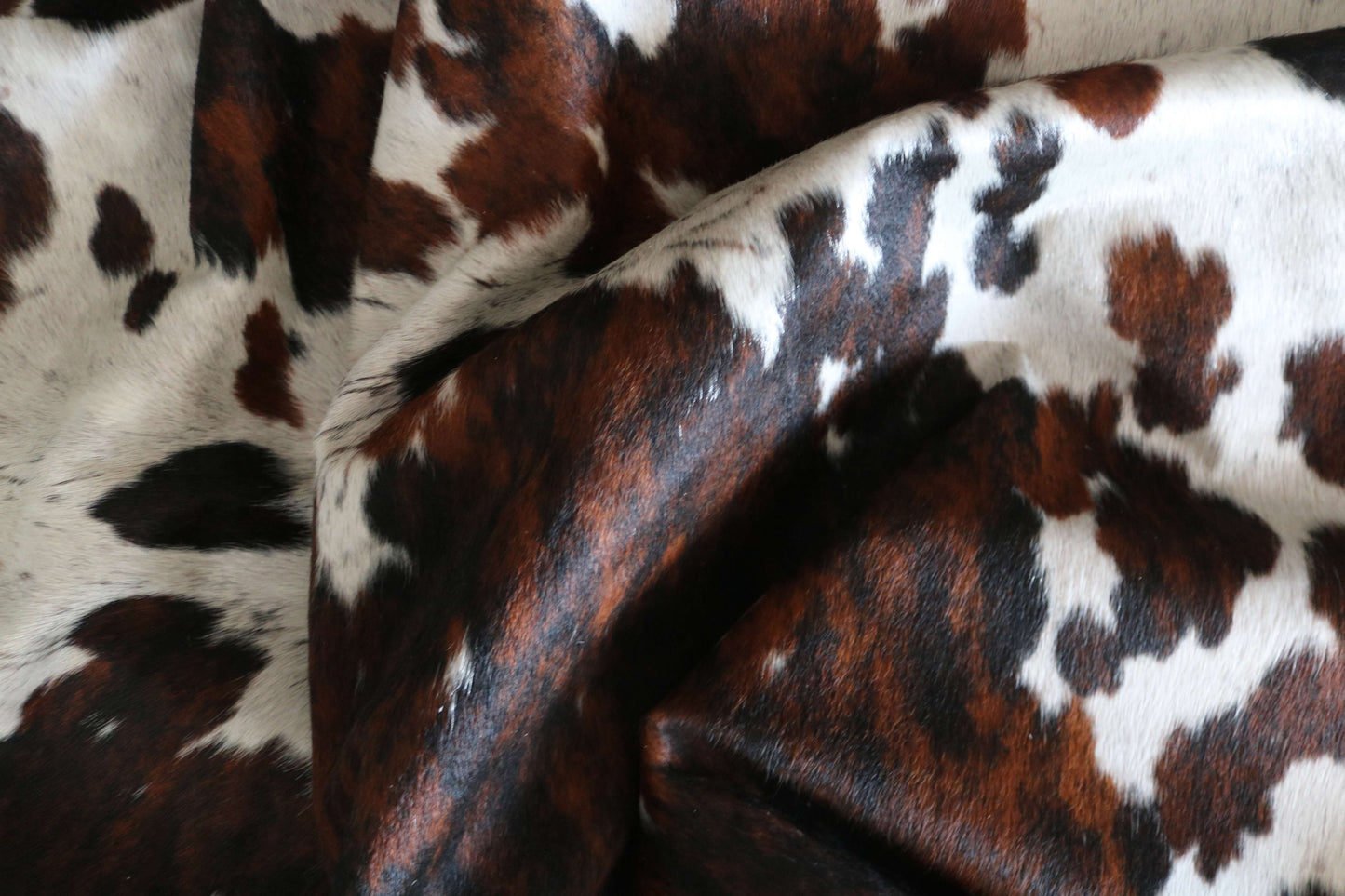 100284 - SUPER BIG  SIZE XXXL TRICOLOR  Cowhide Rug - Quebecuir Premium Collection