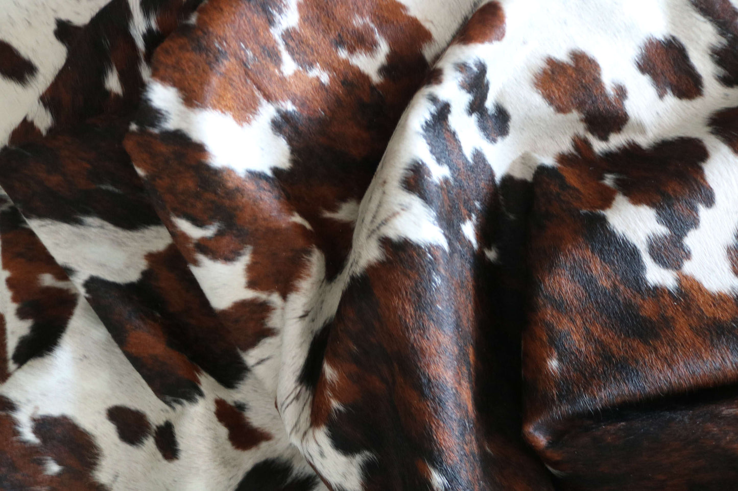 100284 - SUPER BIG  SIZE XXXL TRICOLOR  Cowhide Rug - Quebecuir Premium Collection