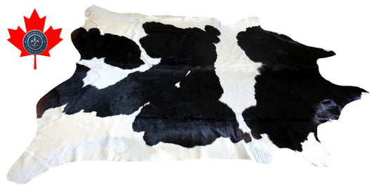 200085- Cowhide Rug Tapis Peau de Vache SUPER BIG SIZE XXXL - Collection Quebecuir Premium