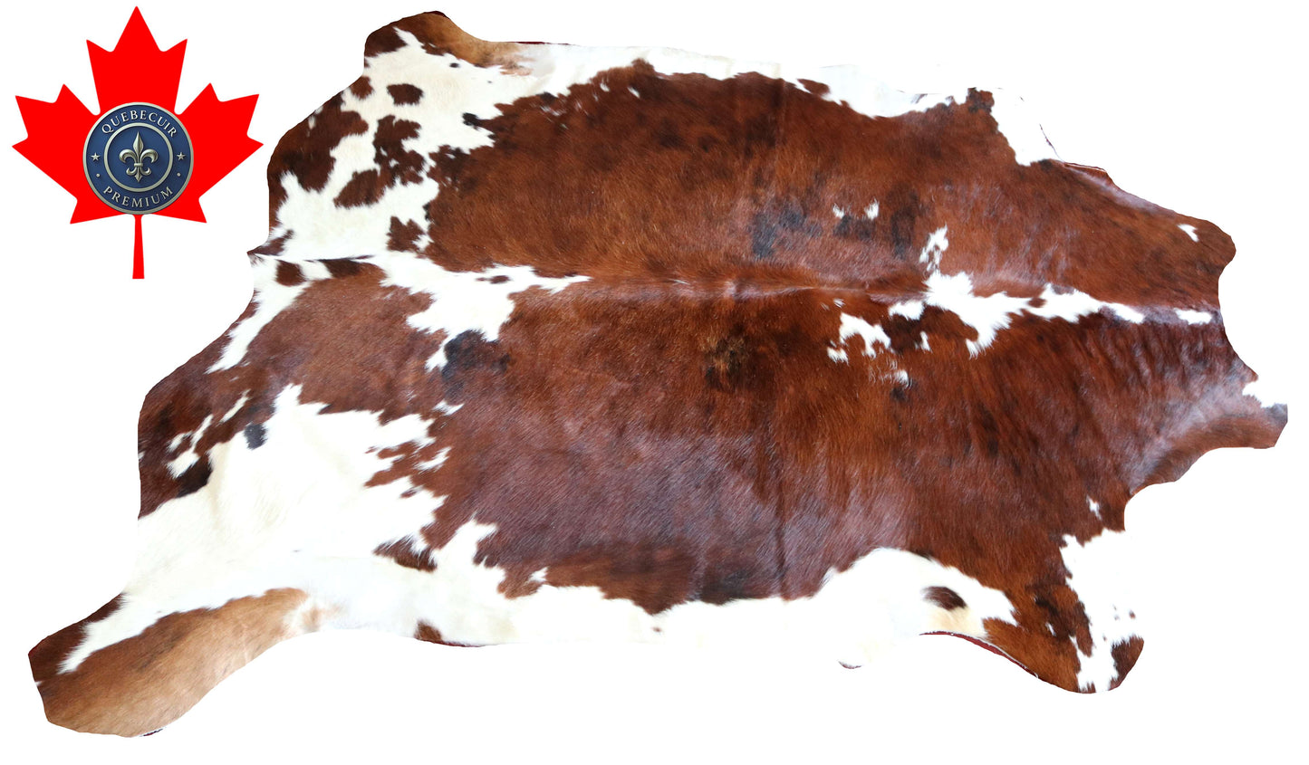 100285 - TRICOLOR  Cowhide Rug - Quebecuir Premium Collection