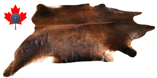 200086- Cowhide Rug Tapis Peau de Vache SUPER BIG SIZE XXXL - Collection Quebecuir Premium