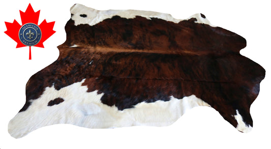 200088- Cowhide Rug Tapis Peau de Vache SUPER BIG SIZE XXXL - Collection Quebecuir Premium