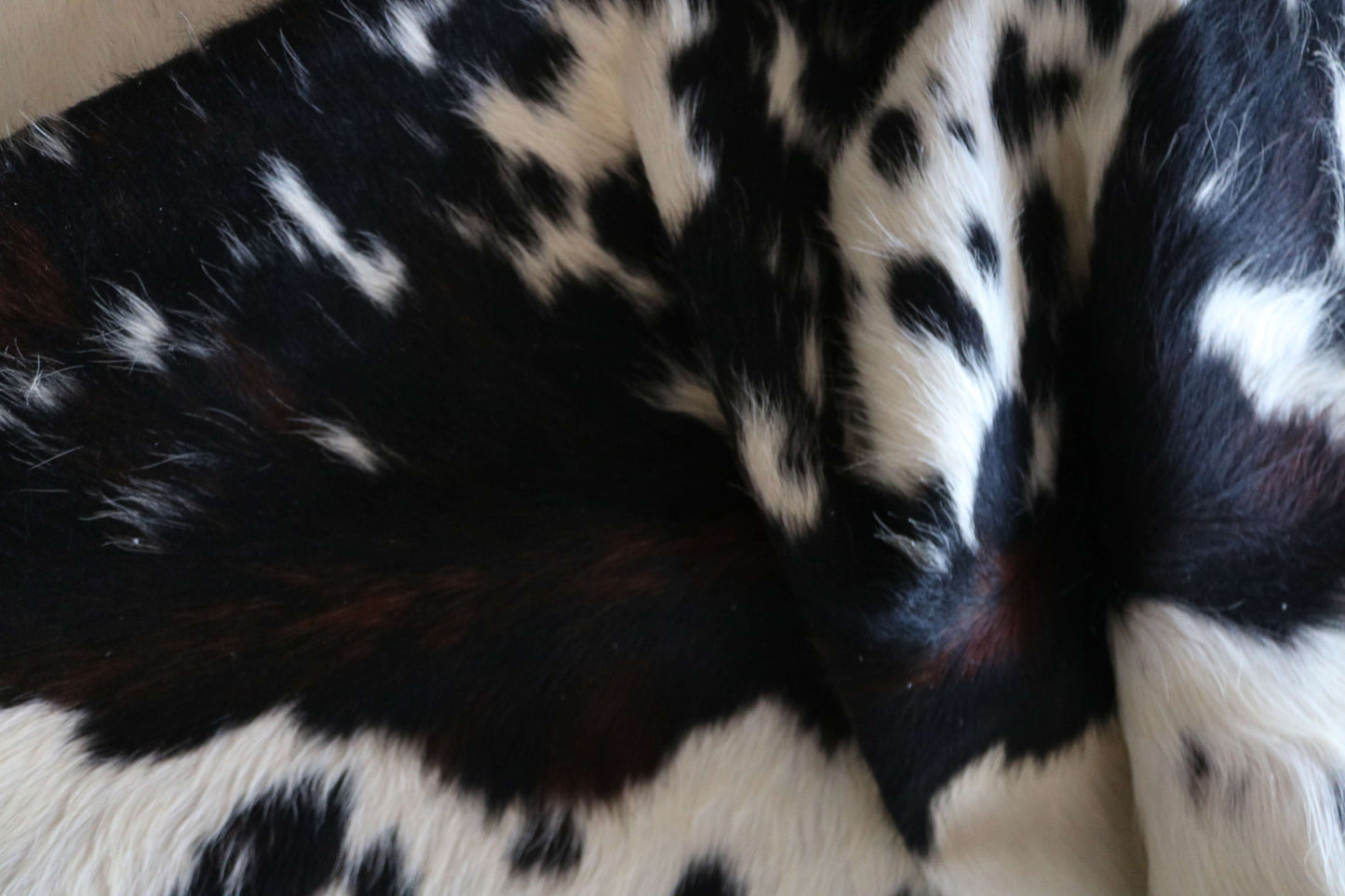 100286 - SUPER BIG  SIZE XXXL TRICOLOR  Cowhide Rug - Quebecuir Premium Collection