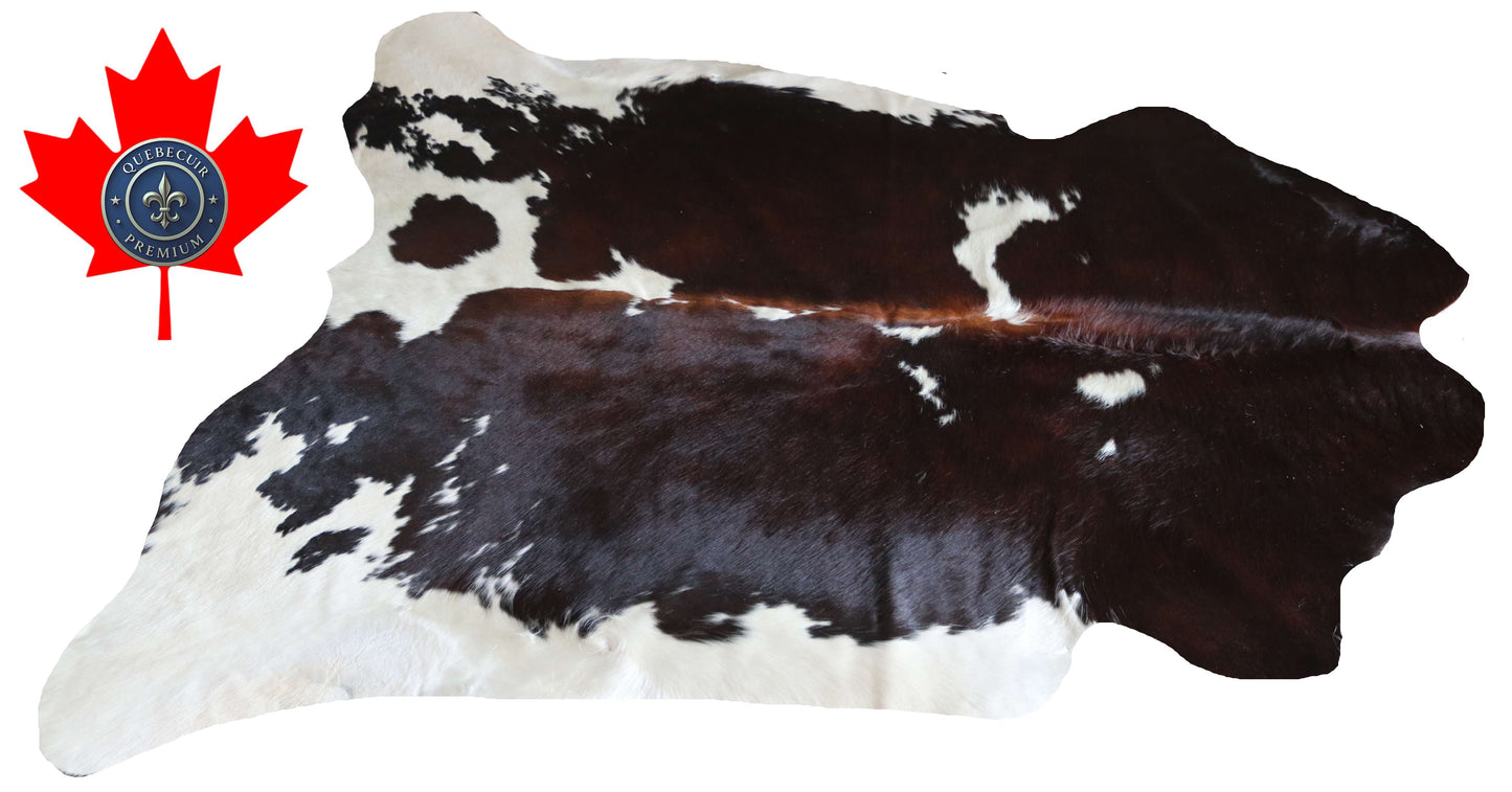 100287 - TRICOLOR  Cowhide Rug - Quebecuir Premium Collection