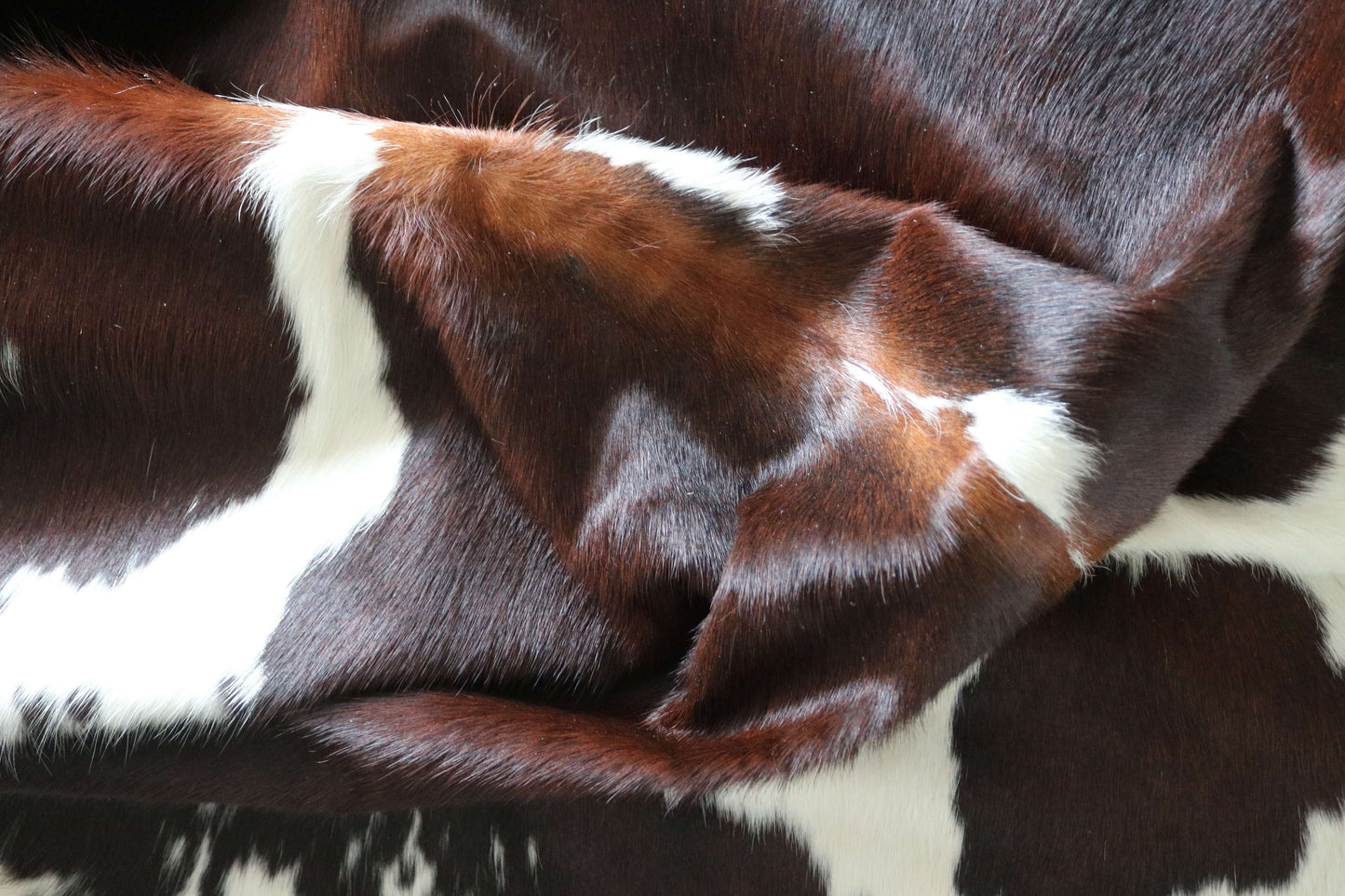 100287 - TRICOLOR  Cowhide Rug - Quebecuir Premium Collection