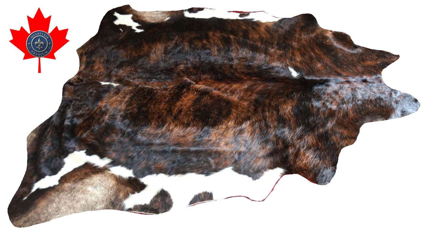 100288 - TRICOLOR  Cowhide Rug XL - Quebecuir Premium Collection