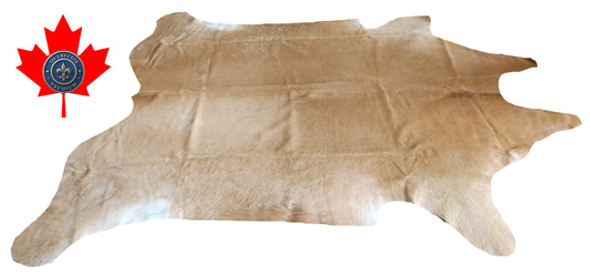 200092- Cowhide Rug Tapis Peau de Vache SUPER BIG SIZE XXXL - Collection Quebecuir Premium