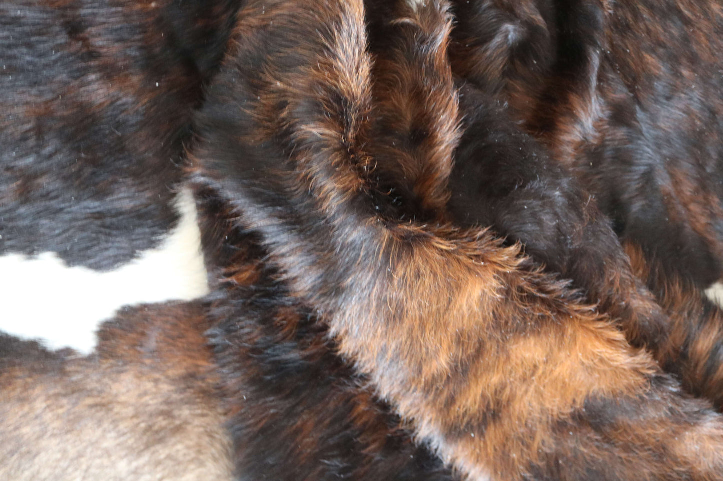 100288 - TRICOLOR  Cowhide Rug XL - Quebecuir Premium Collection