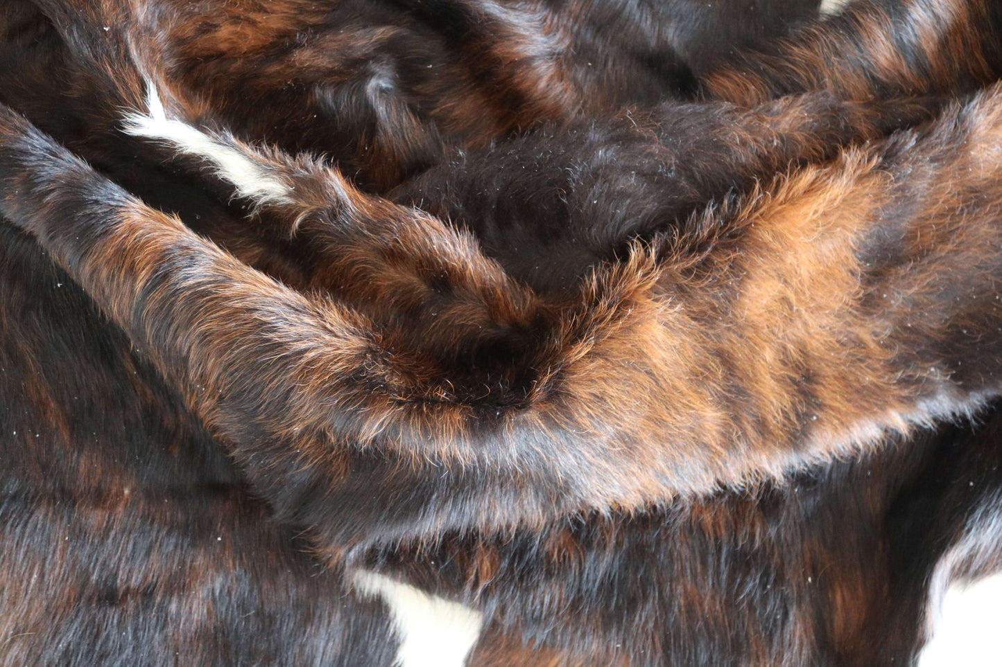 100288 - TRICOLOR  Cowhide Rug XL - Quebecuir Premium Collection