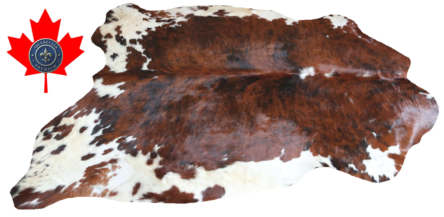 100289 - SUPER BIG  SIZE XXXL TRICOLOR  Cowhide Rug - Quebecuir Premium Collection