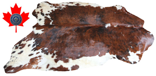 100289 - SUPER BIG  SIZE XXXL TRICOLOR  Cowhide Rug - Quebecuir Premium Collection