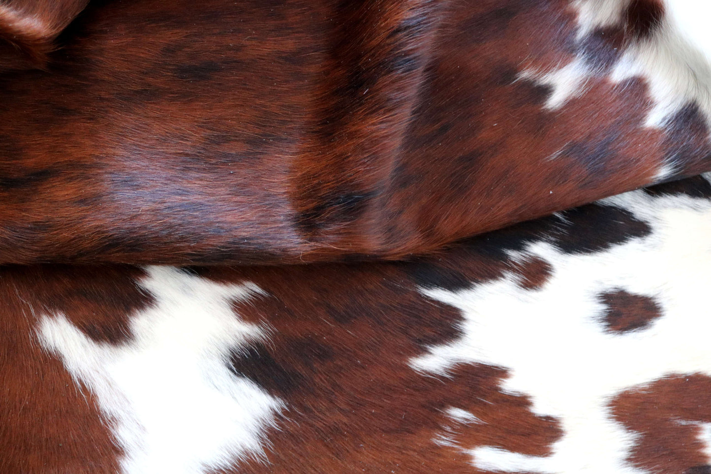 100289 - SUPER BIG  SIZE XXXL TRICOLOR  Cowhide Rug - Quebecuir Premium Collection