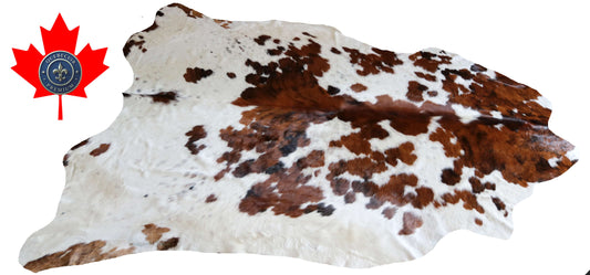 100290- SUPER BIG  SIZE XXXL TRICOLOR  Cowhide Rug - Quebecuir Premium Collection