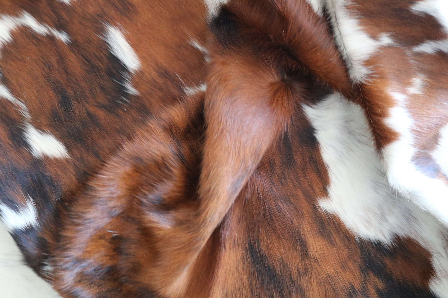 100290- SUPER BIG  SIZE XXXL TRICOLOR  Cowhide Rug - Quebecuir Premium Collection