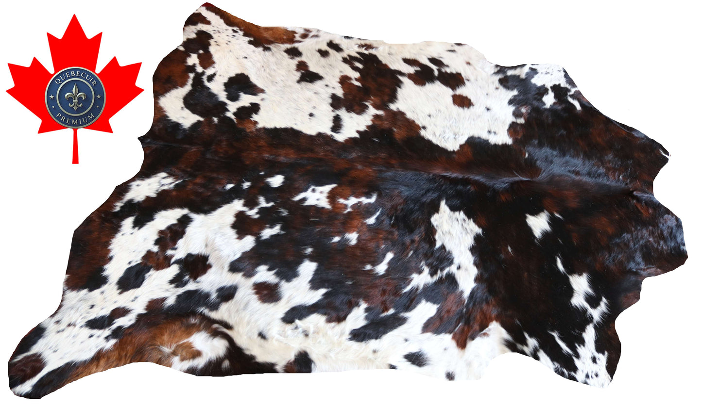 100291 -TRICOLOR  Cowhide Rug - Quebecuir Premium Collection
