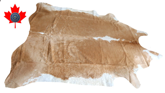 200098- Cowhide Rug Tapis Peau de Vache SUPER BIG SIZE XXXL - Collection Quebecuir Premium